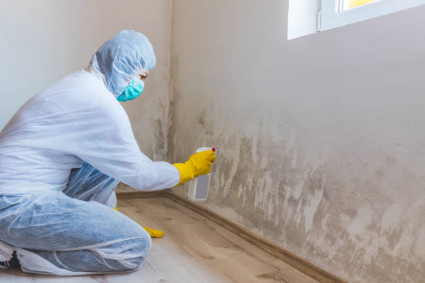 Licensed Crawl Space Mold Removal service in Bennett, NC - WQB Mold Removal