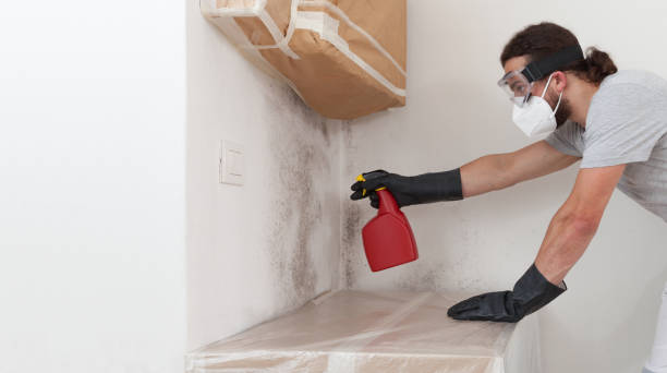 Professional Crawl Space Mold Removal technician working in Bennett, NC