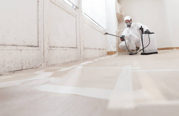 24/7 Emergency Crawl Space Mold Removal experts in Bennett, NC