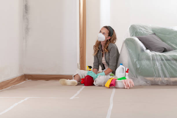 Reliable Crawl Space Mold Removal contractor in Bennett, NC by WQB Mold Removal