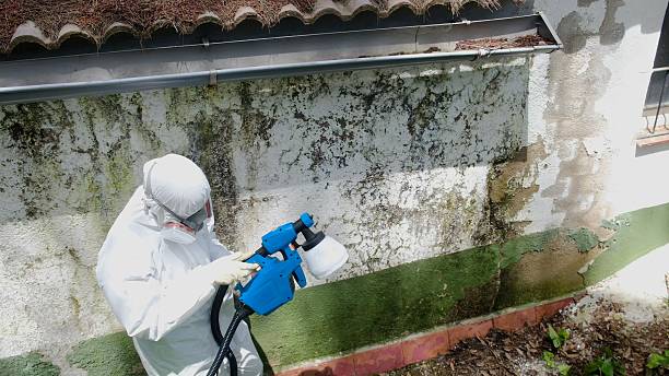 Top rated local Crawl Space Mold Removal specialists in Bennett, NC